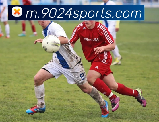 体育下注平台生态图